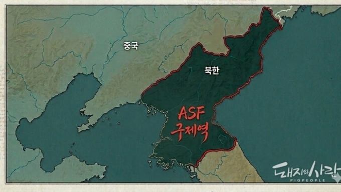 북한, 구제역·ASF 동시 비상….변이 바이러스 출현 의심