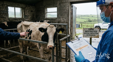 아일랜드, 약 1년 6개월 만에 ‘비정형 BSE’ 재발생...쇠고기 수입검역 전면 중단