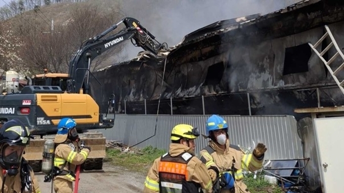 원주 지정면서 대형 돈사 화재....돼지 6백여 마리 폐사