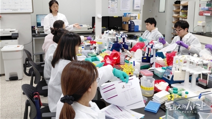 중국발 SAT1형 구제역 국내 유입 가능성에 대비한다