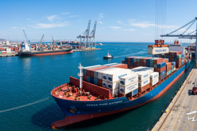 1분기 돼지고기 수입량 31 '껑충'... 유럽산 강세, 브라질산 약진, 미국산 보합