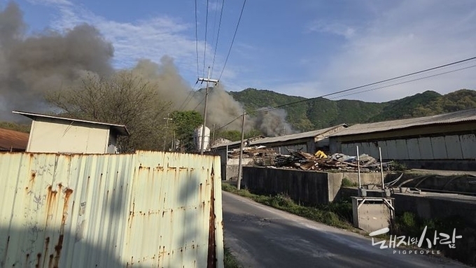 주말 논산 연무읍서 돈사 화재...돼지 680여 마리 폐사