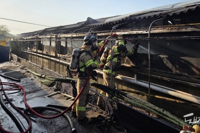 주말 논산 연무읍서 돈사 화재...돼지 680여 마리 폐사