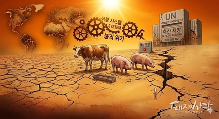 "식량 시스템 붕괴 위기"… 유엔, 폭염 '축산 재앙' 공식 경고