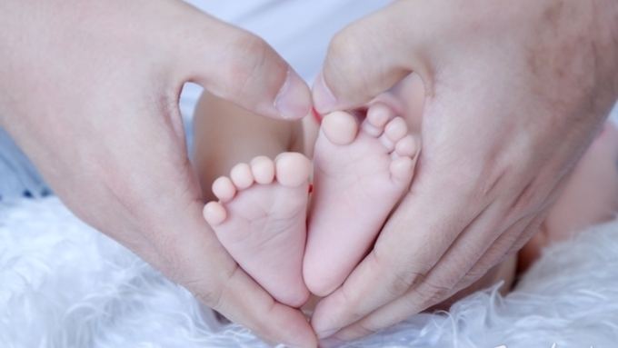 출생아 수 7년 만의 최대 반등… 한돈산업 지속가능성 '청신호'