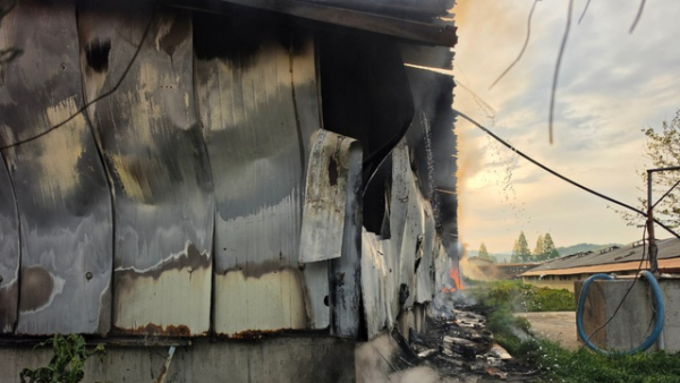 월요일 양주·음성 양돈장서 연달아 화재....돼지 총 2,750여 마리 폐사