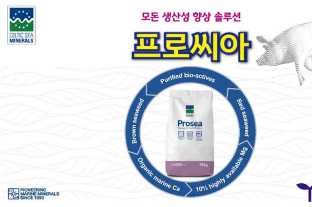 [휘드베스트] 모돈 생산성 향상 솔루션 '프로씨아'