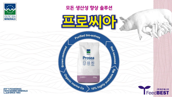 [휘드베스트] 모돈 생산성 향상 솔루션 '프로씨아'