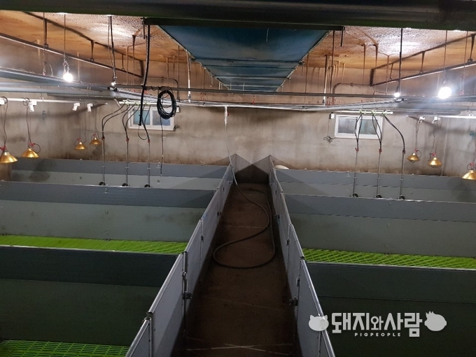 ASF 예방적 살처분으로 돈사가 비워져 있는 돈사@독자 제공
