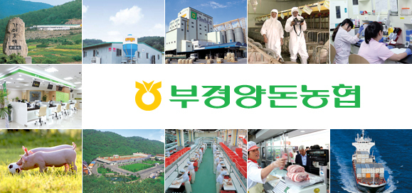 현재 우리나라 전체 양돈농가 중 해썹 인증 비율은 약 27.9%. 이러한 점을 감안하면 120여 포크밸리 브랜드농가 전체가 해썹 인증을 획득한 것은 대단한 성과라 할 수 있습니다@부경양돈농협