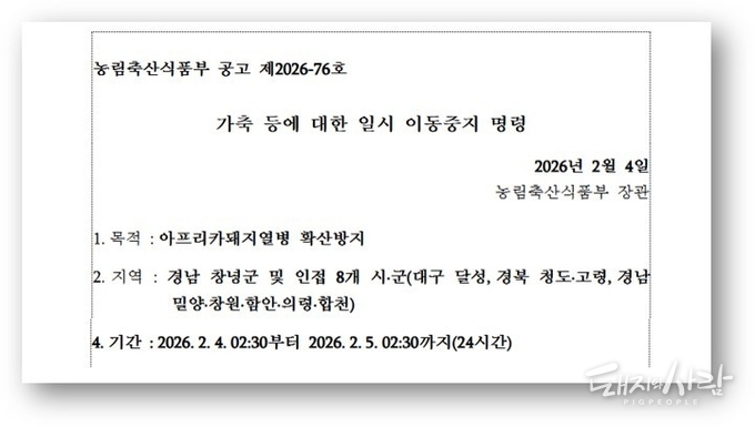 �泲 â�� ASF ���� ���ĵ彺ƿ �߷� ����@���ǰ��